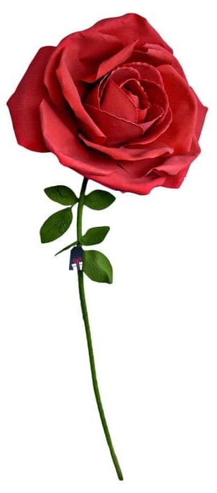 XXL suur roos - Roosid kingituseks naisele