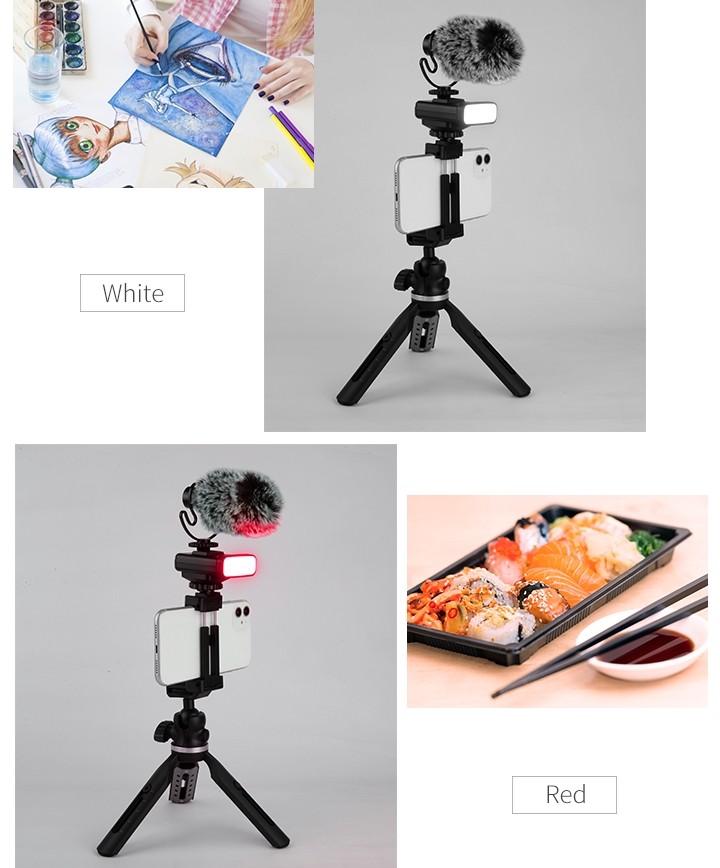 statiiv mobiiltelefonile (selfiehoidja) + mikrofon ja valgus